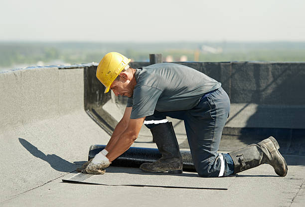 Best Geographic-Specific Insulation Services in South Sarasota, FL