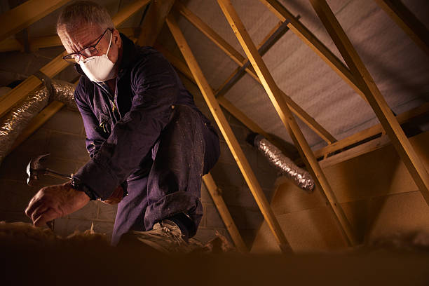 Best Residential Insulation in South Sarasota, FL